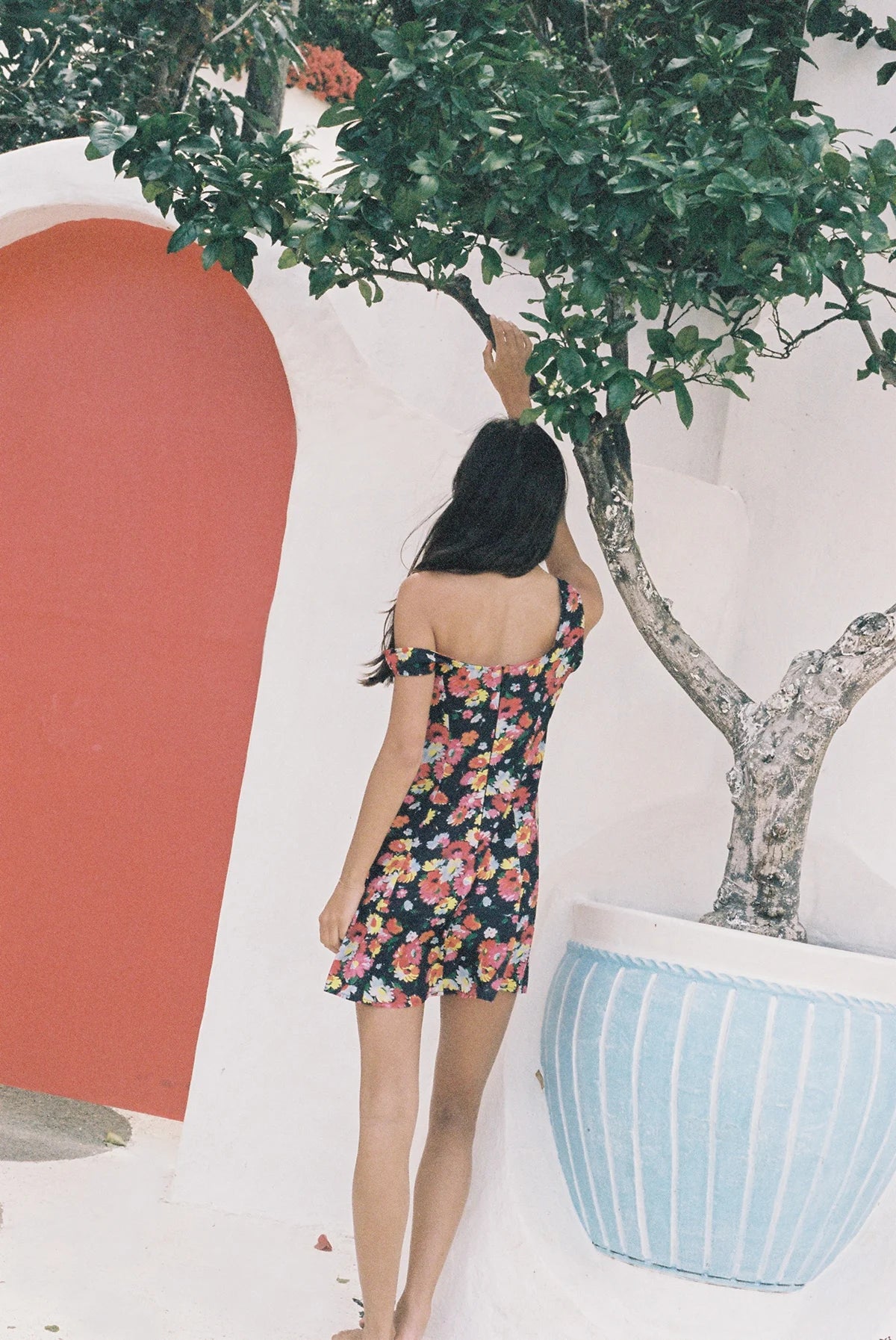 The Marbella Dress ~ Summer Harvest