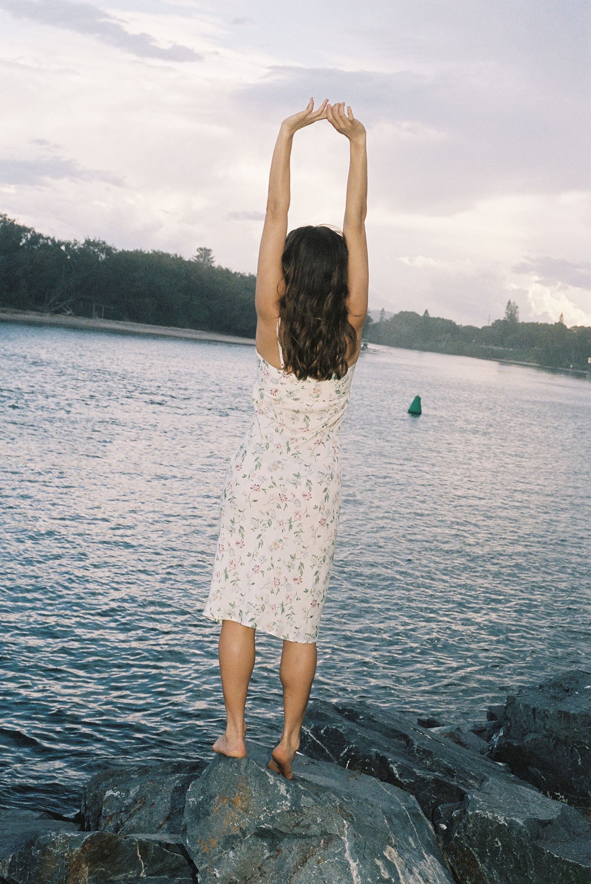 The Lucy Dress ~ Everlasting Floral